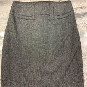 Professional Express skirt